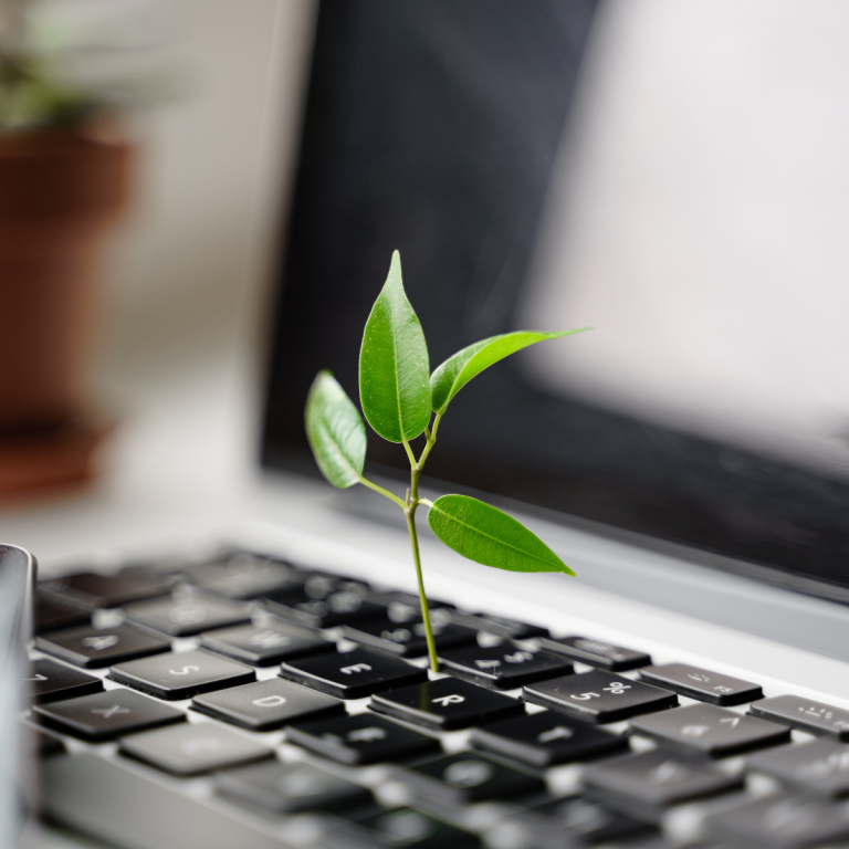 A seedling growing out of a laptop keyboard